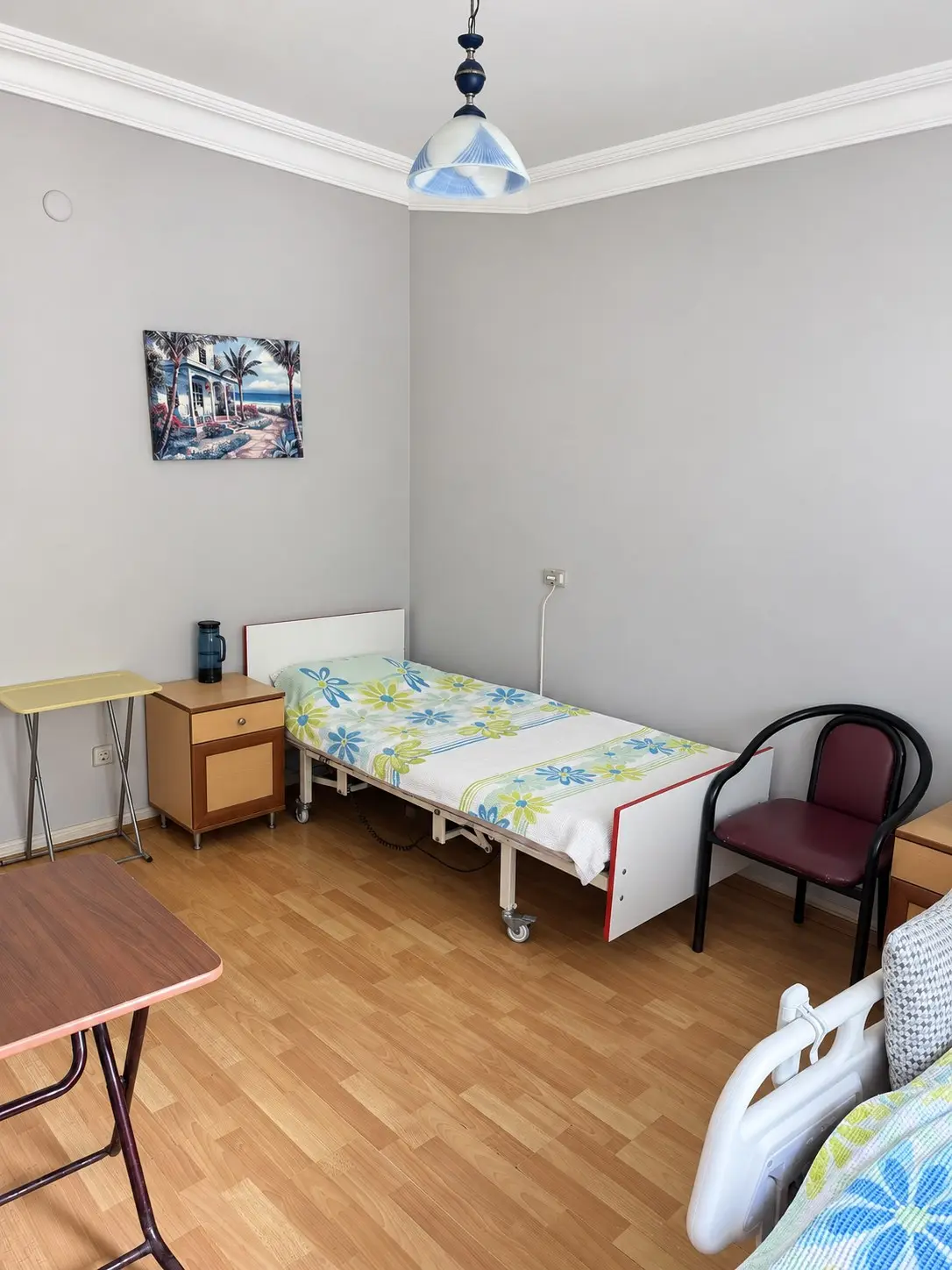 Duvarında tablo bulunan odada yatak, komodin, sandalye ve yanında motorlu hasta karyolası